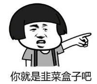 暴漫 文字表情包 你就是韭菜盒子吧 搞笑 逗 沙雕