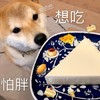 萌宠 汪星人 想吃 眼巴巴 搞怪 呆萌