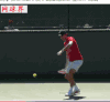 网球 费德勒 正手 击球 一二
