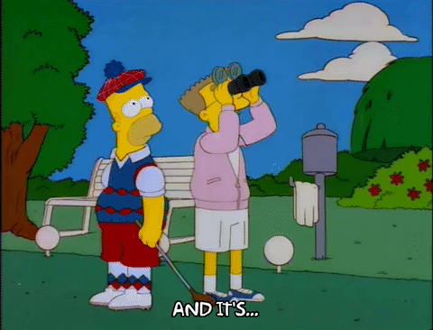 辛普森一家 霍默 望远镜 高尔夫 球场 美国动画