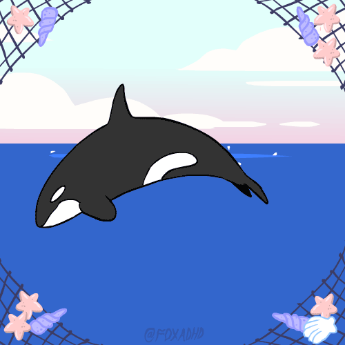 鲸鱼 大海 动画 美丽画面