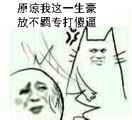 打耳光打脸:原谅我这一生豪放不羁专打傻逼 小猫 生气 打人