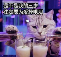 喵星人 萌宠 搞笑 可爱 文字表情包