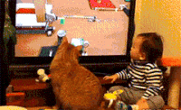 小猫咪 小孩 回头 电视