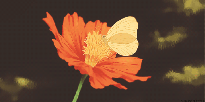 蝴蝶 花朵 可爱 安静 煽动翅膀