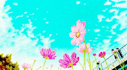 阳光 蓝天 白云 鲜花