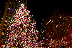 冬天, 圣诞节 ,2012年, 纽约 ,树,洛克菲勒中心