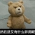 然后这又有什么卵用呢  泰迪熊  贱萌    可爱  摊手   懵逼