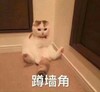 萌宠 猫星人 蹲墙角 不敢说话 呆萌 搞怪 逗