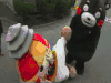 熊本熊 捂脸 可爱 搞笑 踩人