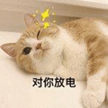 猫 对你放电