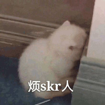 skr 煩skr人