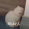 skr 烦skr人