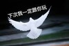 动物 鸽子 下次我一定和你玩 开心 搞怪 逗