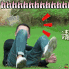 青春旅社 戴军 哈哈哈 大笑 开心 综艺 soogif soogif出品
