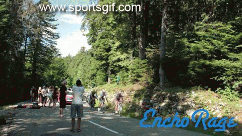 自行车 树林 公路 比赛