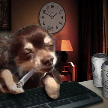 狗崽 抽烟 键盘 闭眼