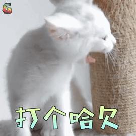 哈欠GIF表情图_动态表情_哈欠GIF动图-SOO图片哈欠的动态包关于晚上好图片