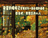 爱情 soogif soogif出品 情感 感情