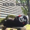 熊本熊 可爱 萌萌哒 搞笑 斗图 没有梦想，过得特爽