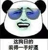 这狗日的 装得一手好逼 眼镜 熊猫人