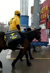 恶搞 送餐员 欢乐 骑马
