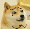 最全doge表情 小狗 流泪 可怜