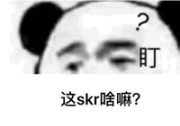 skr 这skr啥嘛