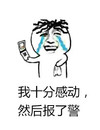 我十分感动然后报了警  装逼王闪亮登场出来斗图吧 金馆长 搞笑