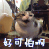 好可怕啊 害怕 可怕