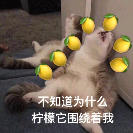 酸柠檬 我酸了 柠檬