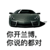 汽车 斗图 酷帅 雷人 你开兰博你说的都对