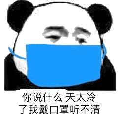 熊猫头 熊猫人 口罩 你说什么 天太冷了我戴口罩听不清