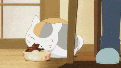 动漫 猫咪 可爱 吃东西