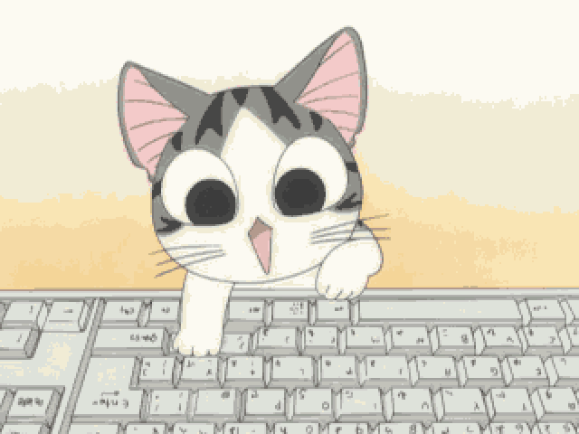 键盘 小猫 大眼睛 玩电脑