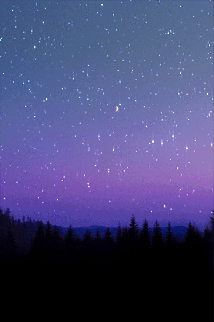 星空 闪烁 夜晚 美丽