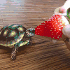 草莓 strawberry food