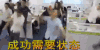 成功需要状态 正能量 加油 兴奋