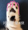 萌宠 猫星人 对不起是4块 猫爪 呆萌 可爱