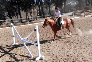 马术 Equestrianism sports 马 跳跃