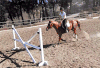 马术 Equestrianism sports 马 跳跃