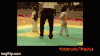 跆拳道 Taekwondo 跆拳道 萌娃 可爱 摔倒