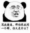 熊猫人 聊天 搞笑 骂我傻逼那你跟我同一个群你又是什么