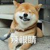 辣眼睛 柴犬 狗 搞怪 逗