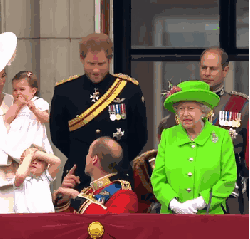 乔治王子 凯特王妃 威廉王子 英国女王 讲话 跪下 皇家阅兵