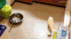 工作 动物 搞笑 可笑