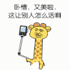 卧槽 自拍 长颈鹿