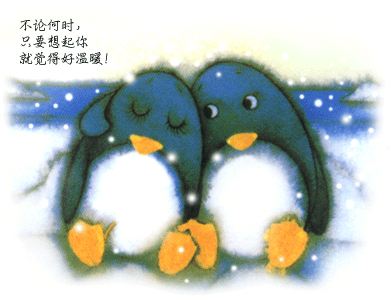 企鹅 依偎 温暖 可爱