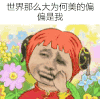 金馆长 逗比 抠鼻 世界那么大为何美的偏偏是我