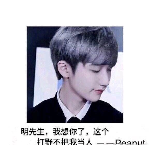 rng rng夺冠 RNG RNG夺冠 uzi UZI 小狗